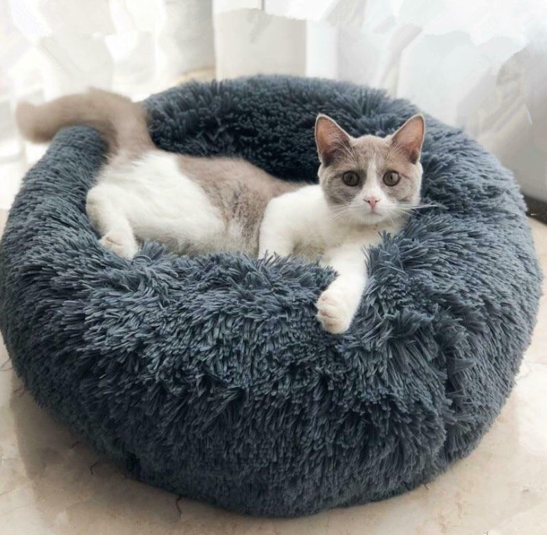 Cat Bed